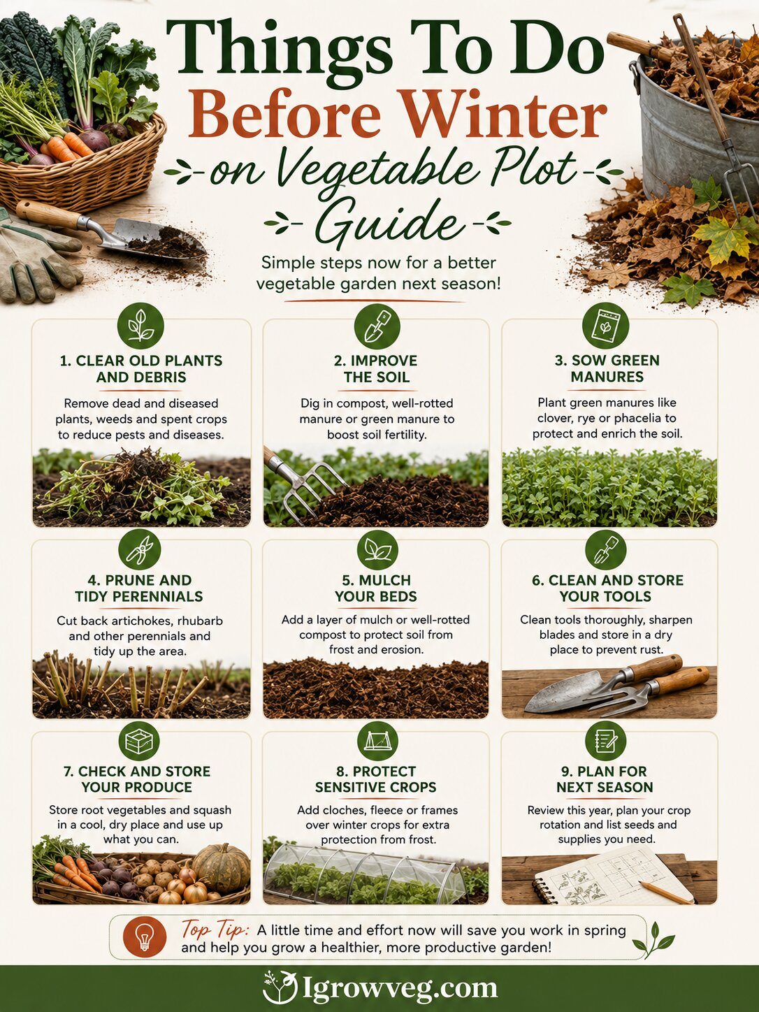 Things To Do Before Winter on Vegetable Plot