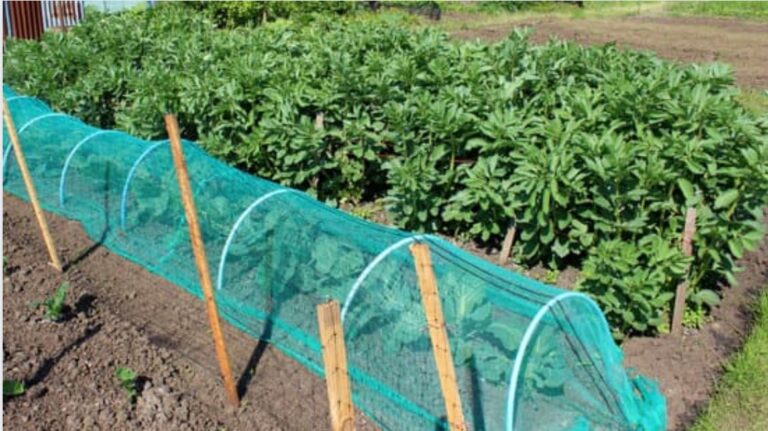 How To Build Your Own Geoff Hamilton Cloche