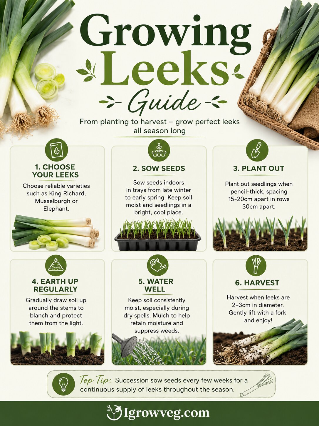 Growing Leeks: Planting, Growing and Harvesting